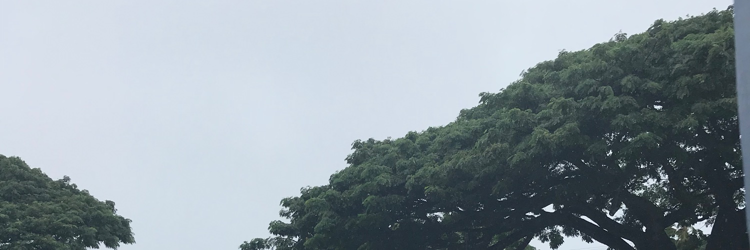 マキバ's banner