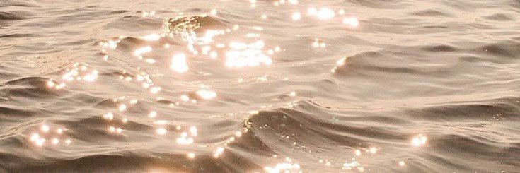 Laura 🦋's banner