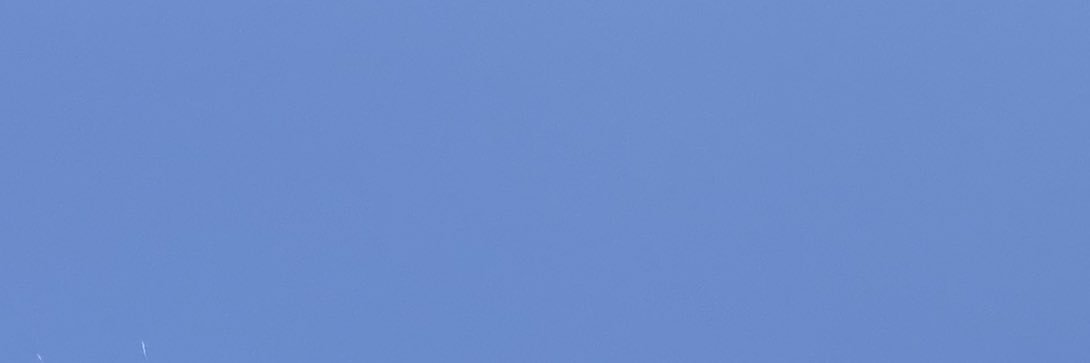 Nina Kraviz's banner