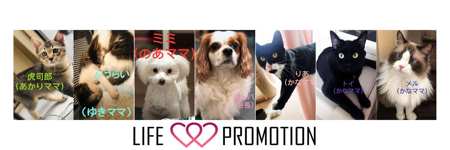 ライフプロ広報(公式）'s banner