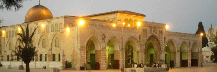 م.ناصر عبدالسلام's banner
