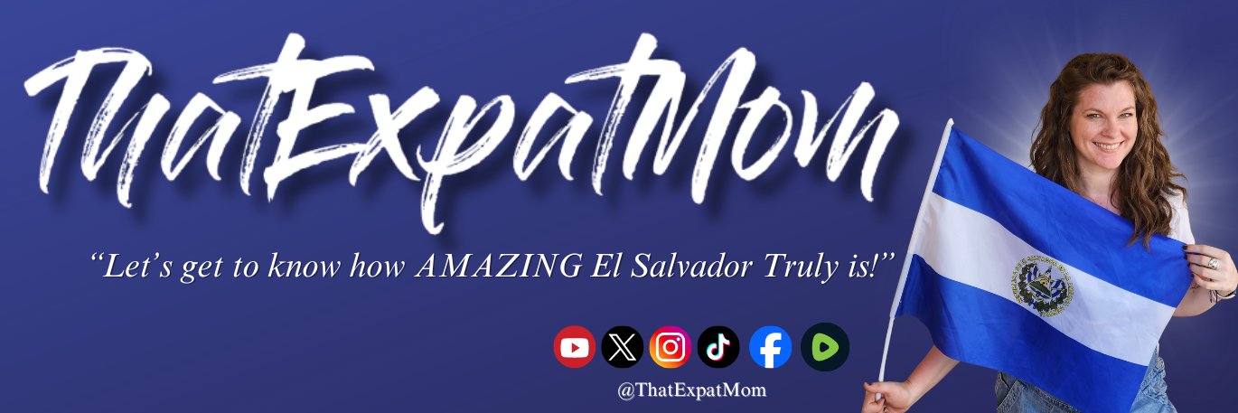 Carol 🇺🇸💙🇸🇻's banner