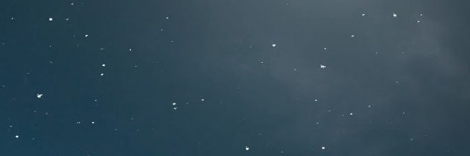 AINA's banner