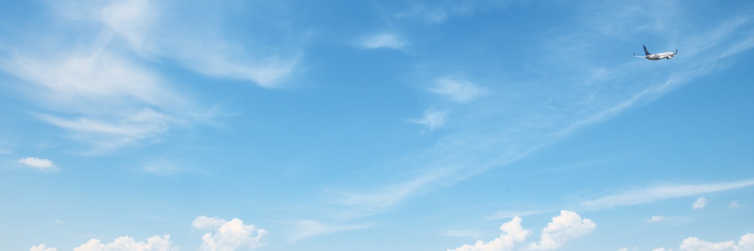 SkyTeam's banner
