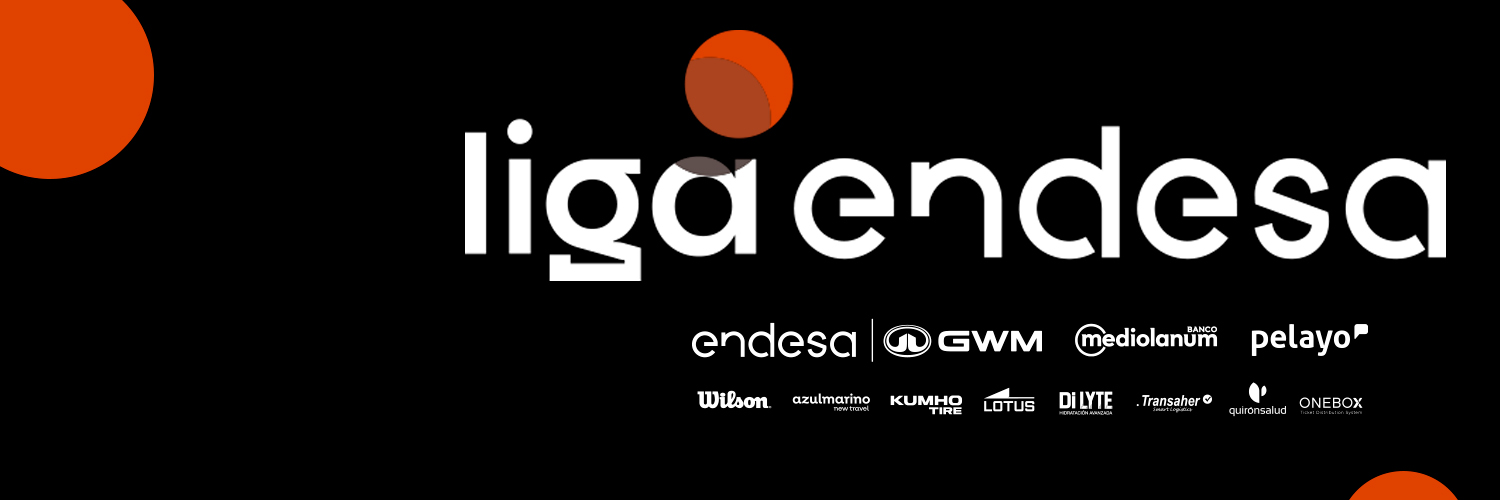 Liga Endesa's banner
