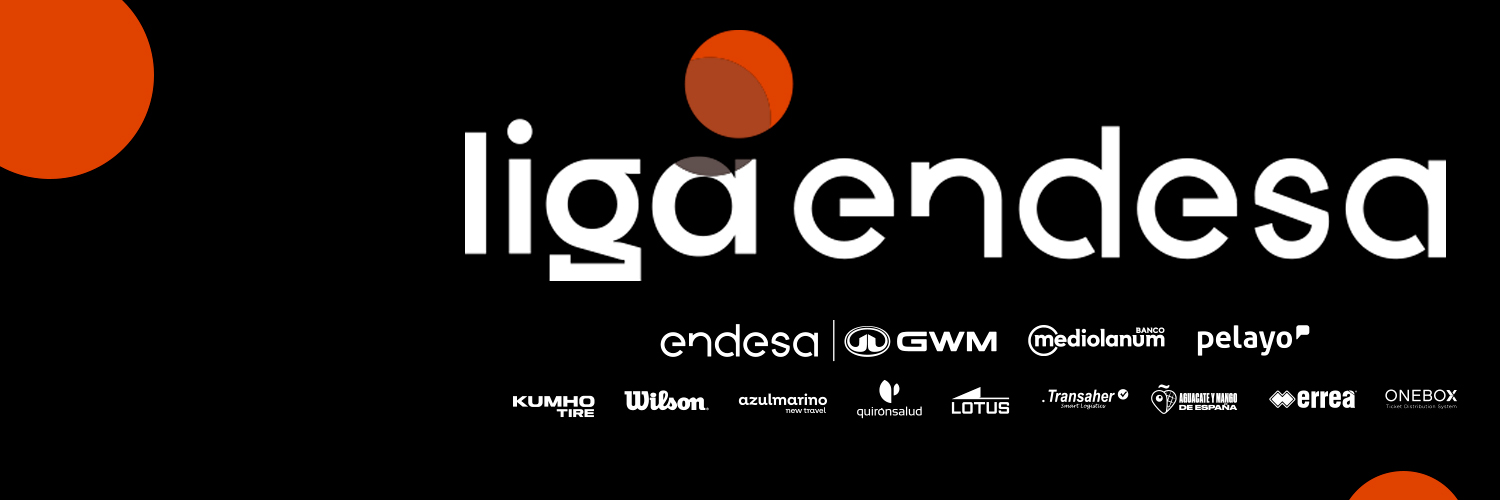 Liga Endesa's banner
