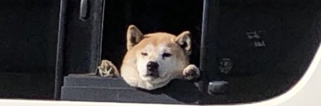 こうや(とらら)'s banner