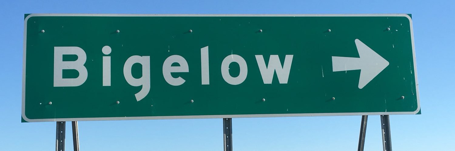 Jacob Bigelow's banner
