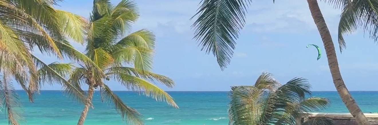 Beatrice Peterson (@MissBeaE on all platforms)'s banner