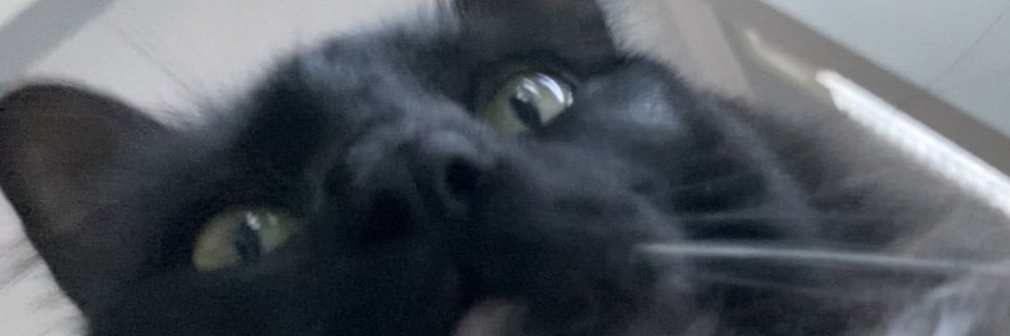 Mr. Headcrab's banner