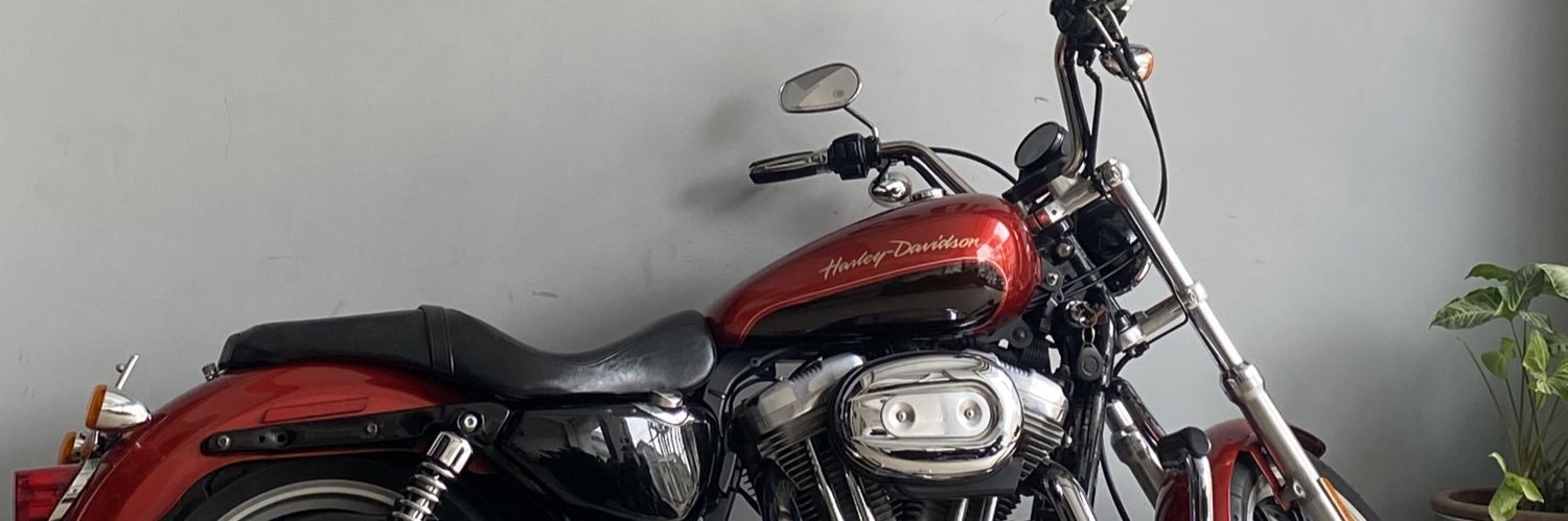Momena Noor's banner