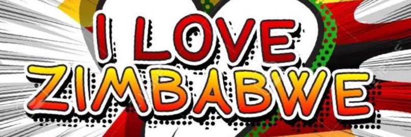 All Things Zim 🇿🇼's banner