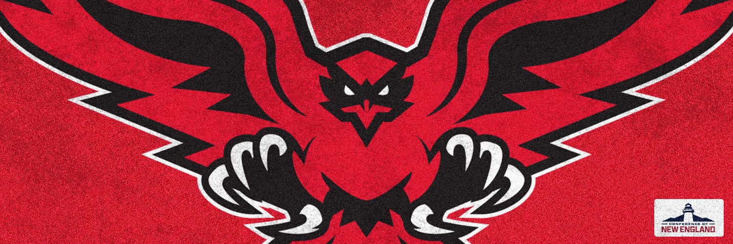 Hartford Hawks's banner