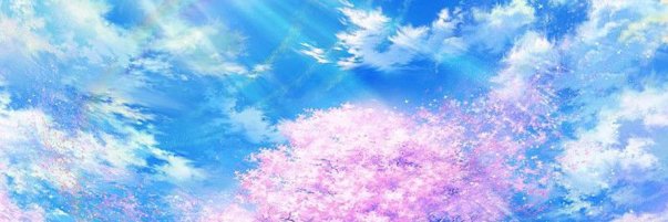 Sky's banner