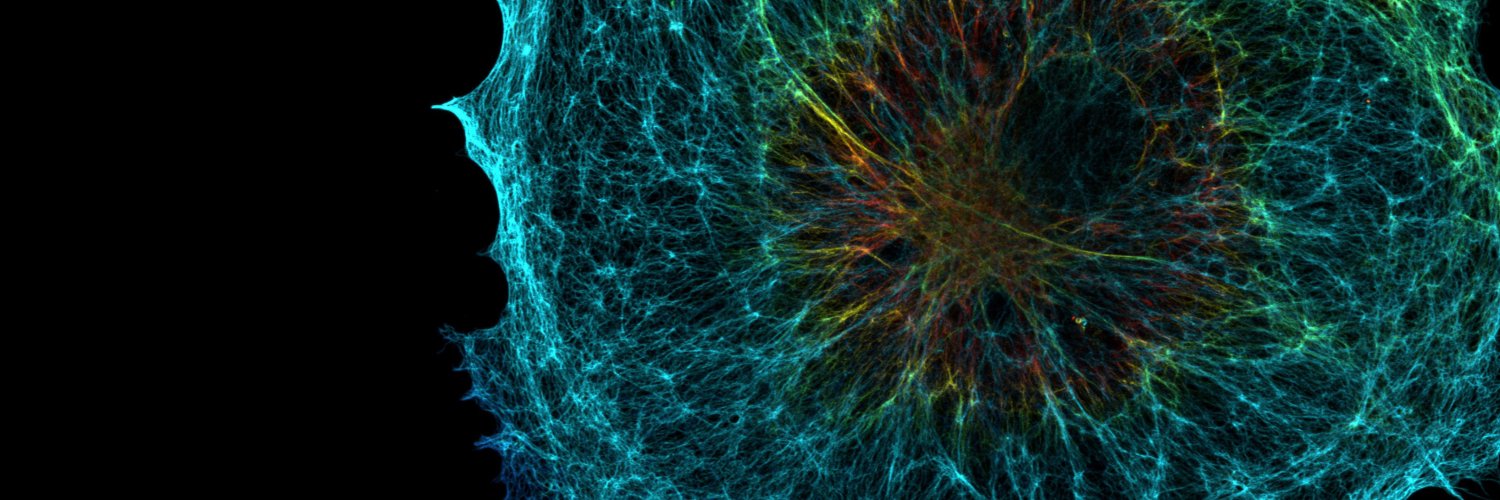 HHMI's banner