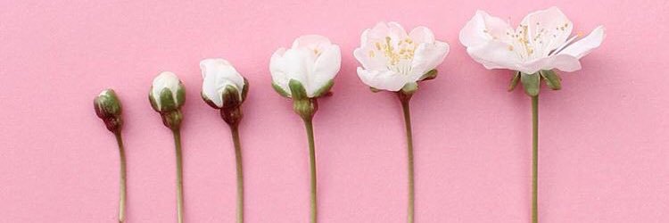 وفاء الرقطان's banner
