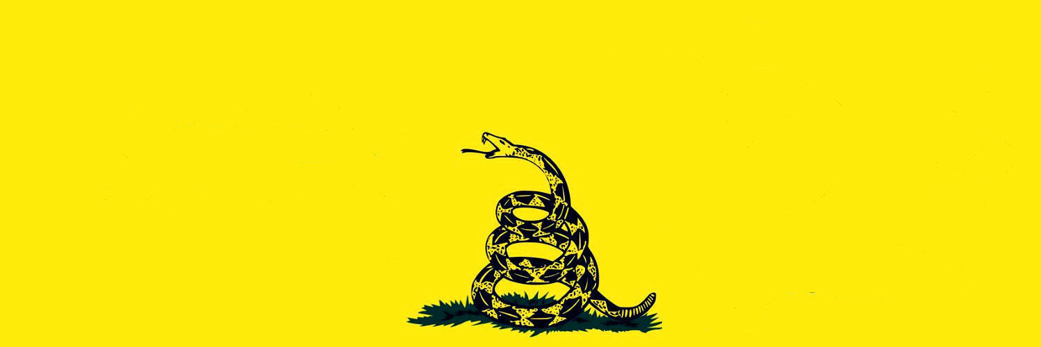 Nashville Tea Party's banner