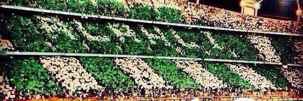 عاشق اهلاوي's banner