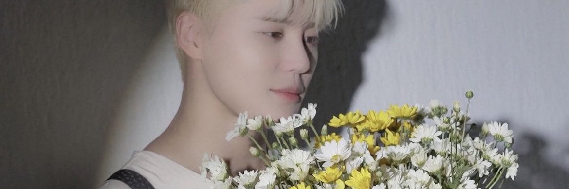 junsu pics's banner