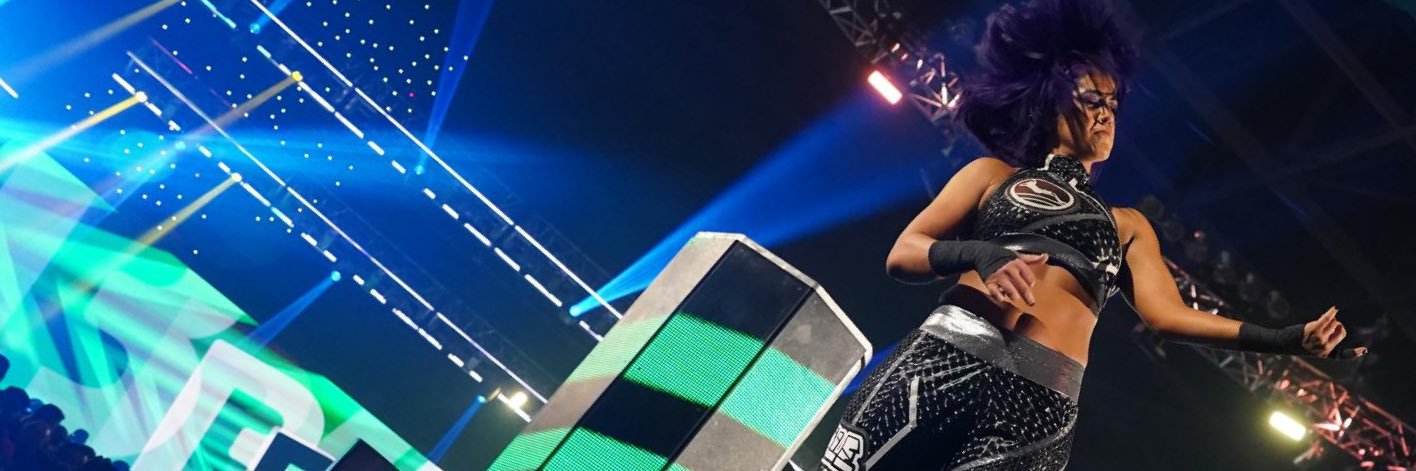 Bayley's banner