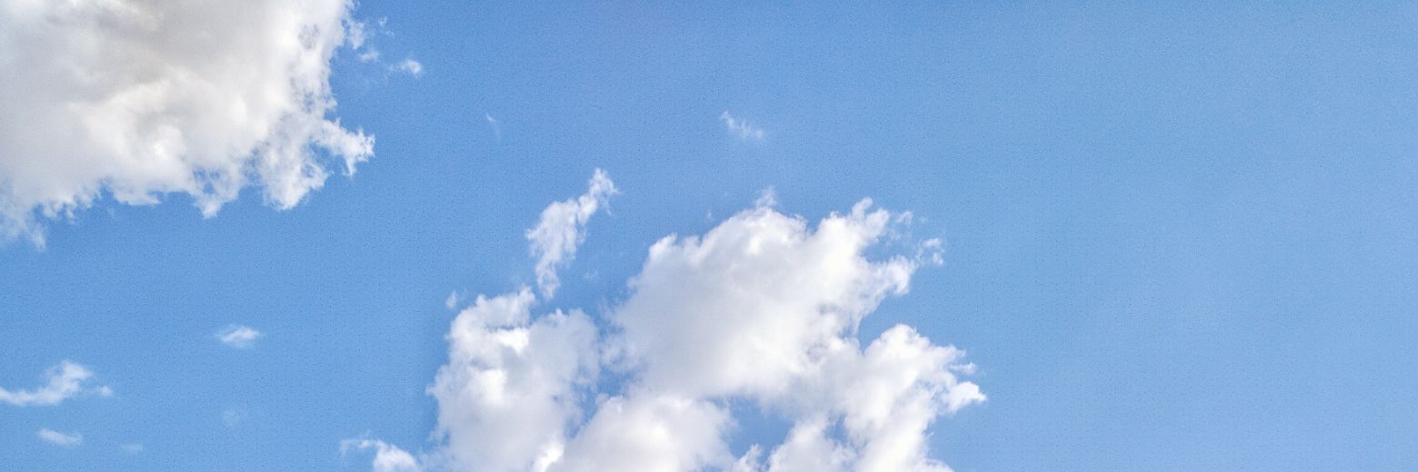 Jo's banner