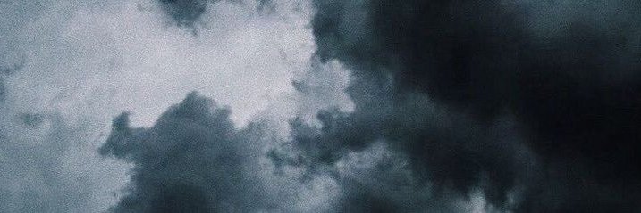 sy.br1d's banner