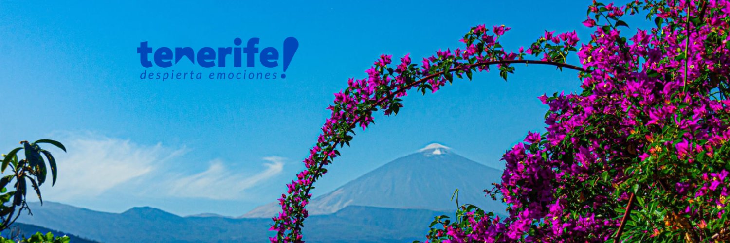 Cabildo de Tenerife's banner
