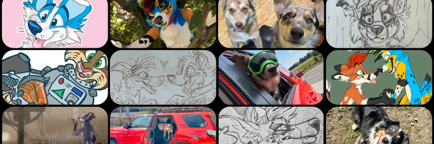 RhapsodyBarks's banner