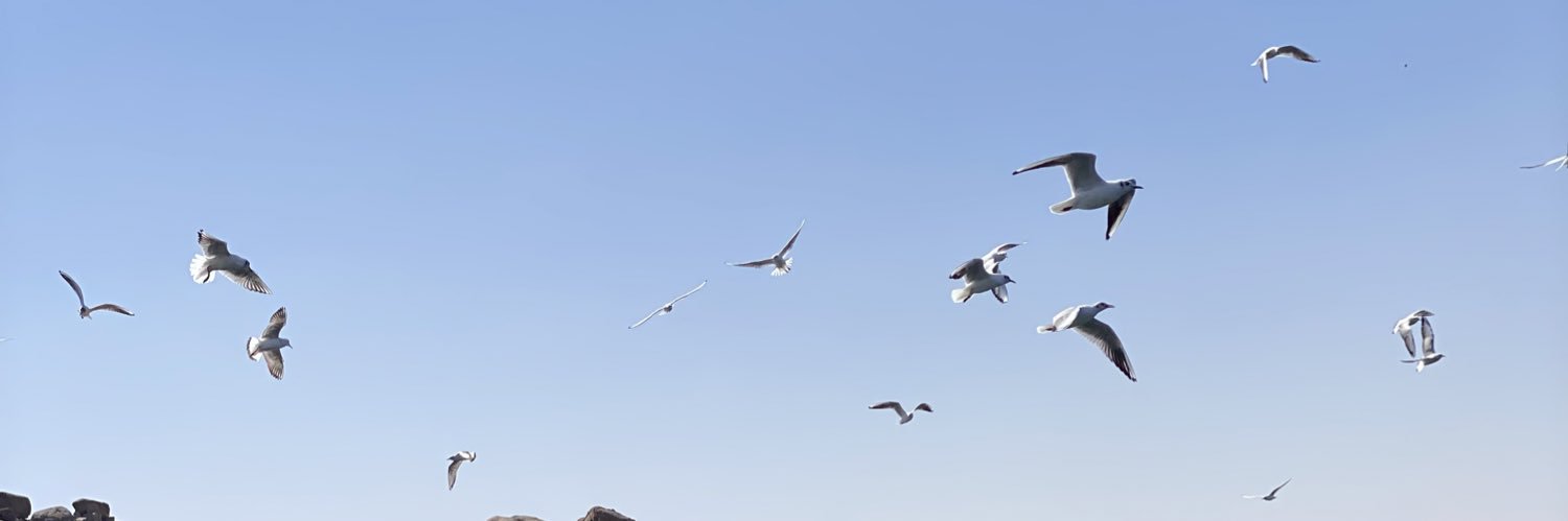 بسملة's banner