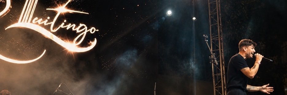 Luitingo's banner
