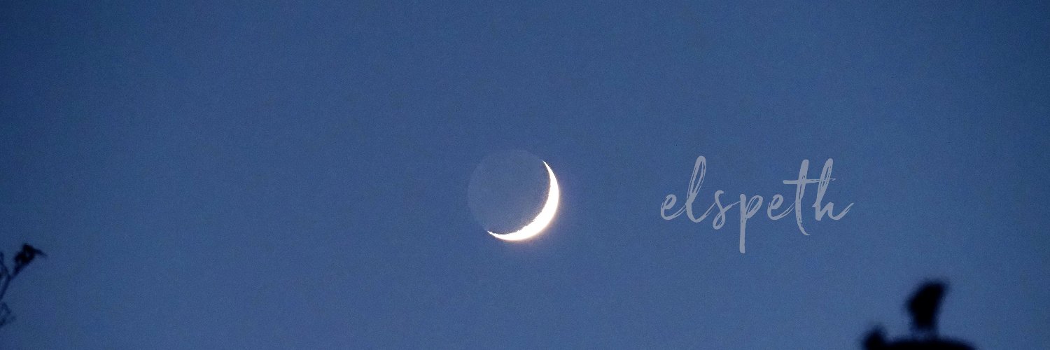 Elspeth Eastman's banner