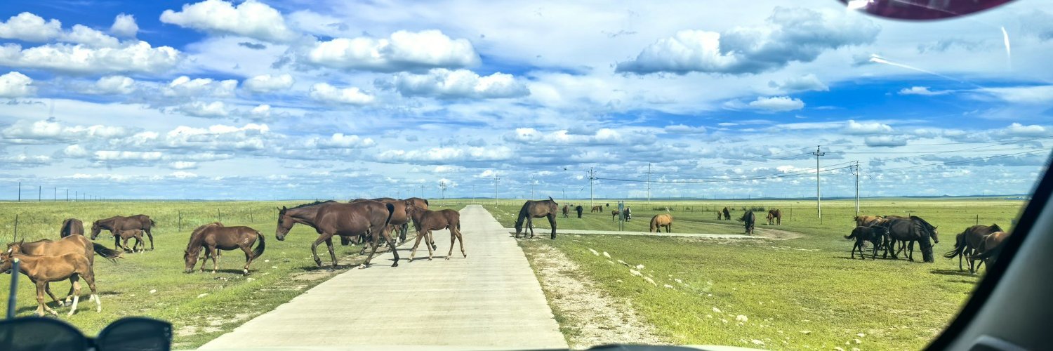 渡Sir's banner