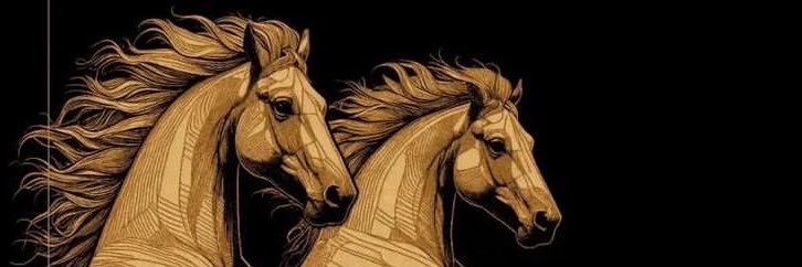 VJ RC 🐎's banner