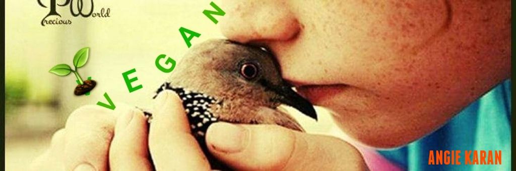 Angie KaranⓋ🌱's banner