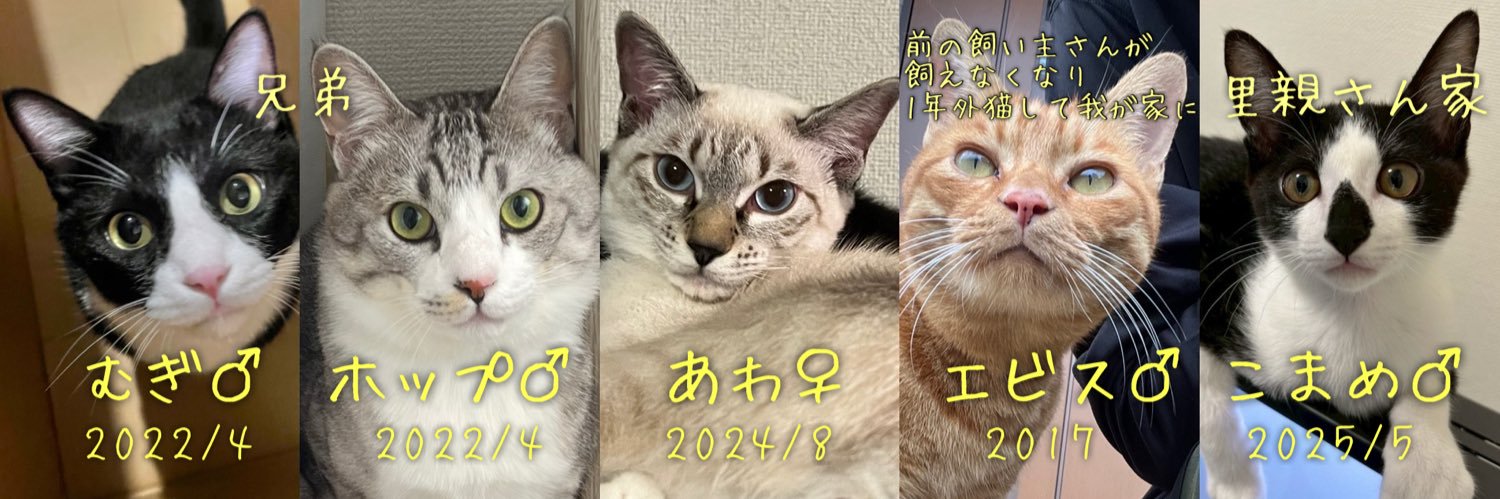 ゆん's banner