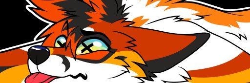 Comet's banner