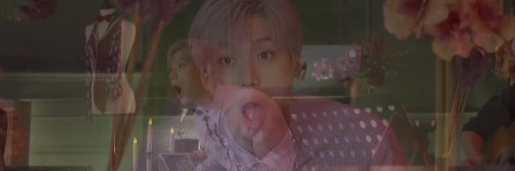 디셈보's banner