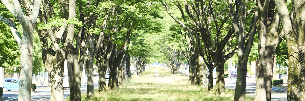 MICHInoX（ミチノークス）'s banner