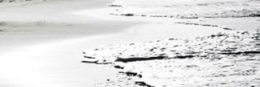 Ninive 🪬's banner