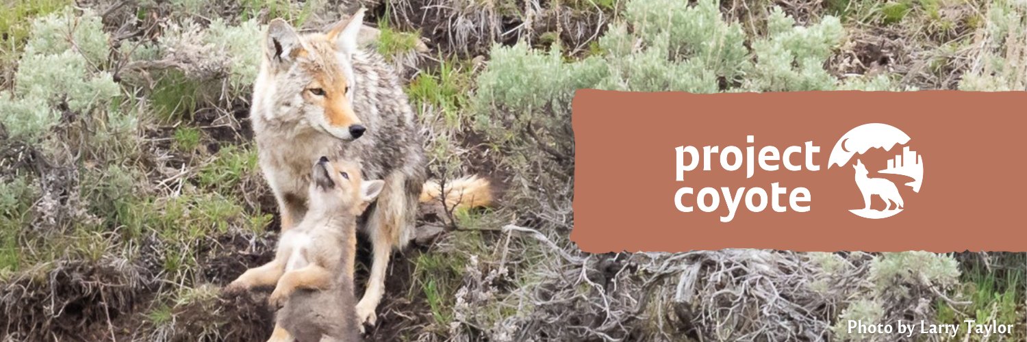 Project Coyote's banner