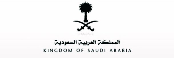 الروسي 🦅's banner