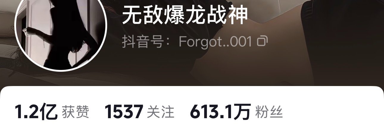无敌爆龙战神雅婷妹妹's banner