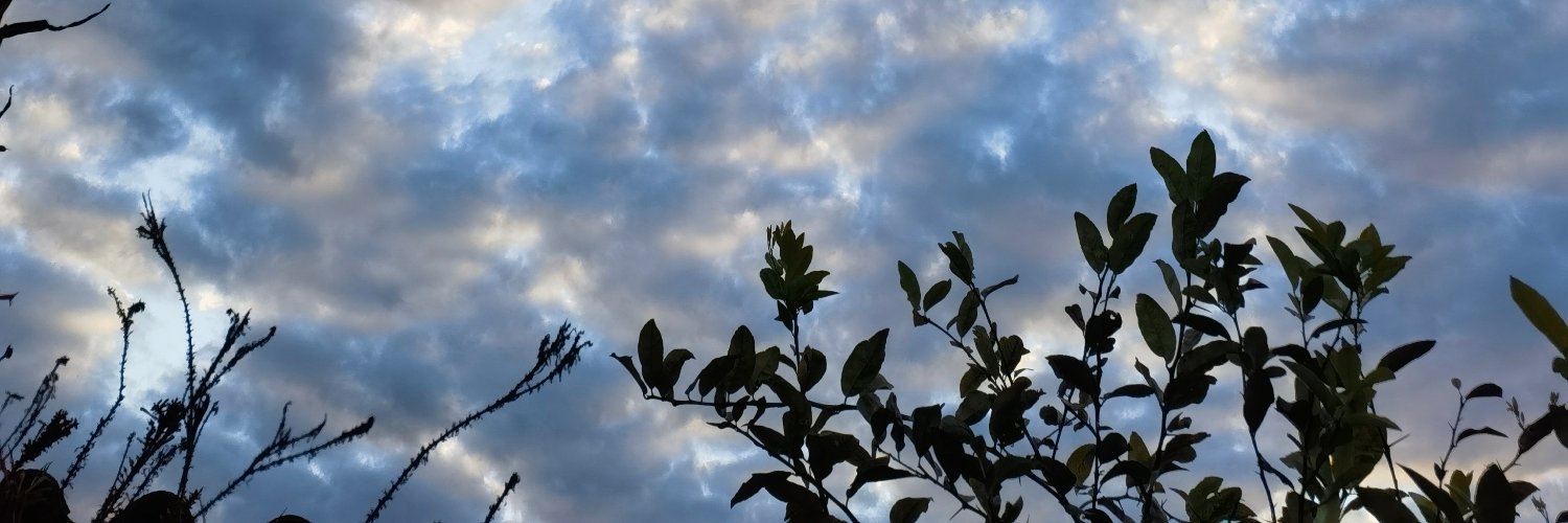 Jeferson Martins's banner