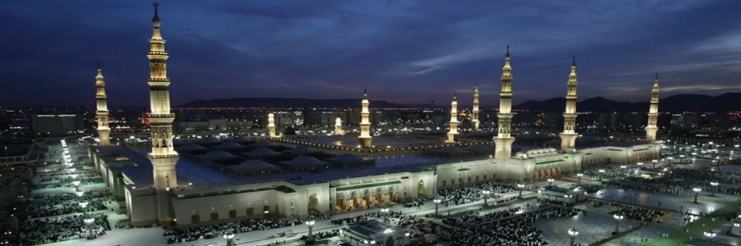 منى البدراني's banner