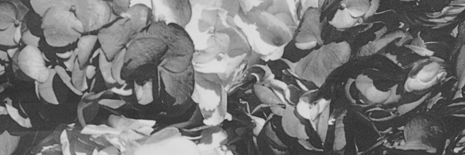 Lana Del Rey Online's banner