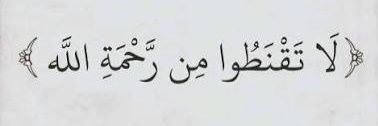 الشاعر احمد الديلمي's banner