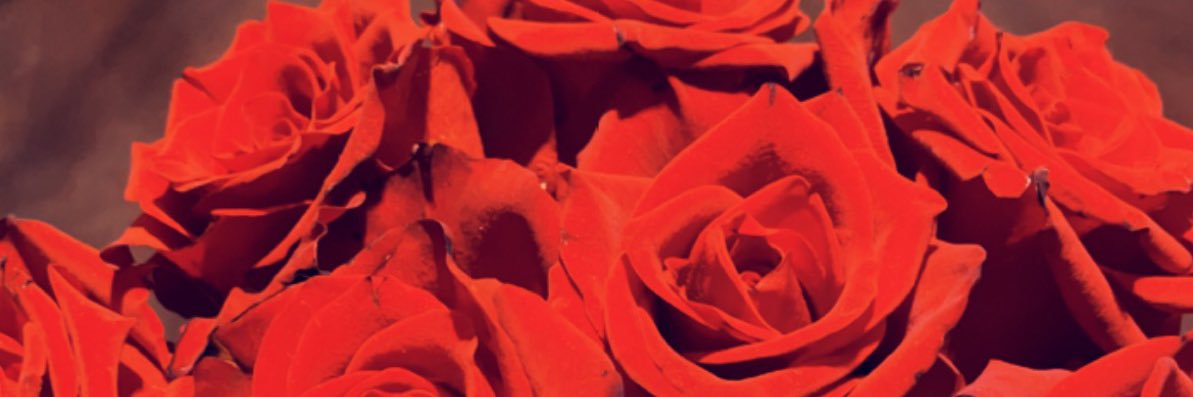 صالح سلمان الدوسري's banner