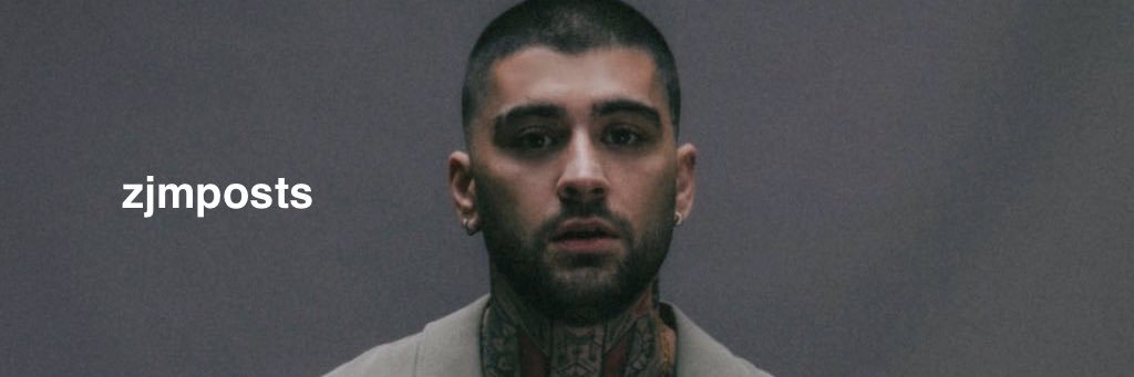 z's banner