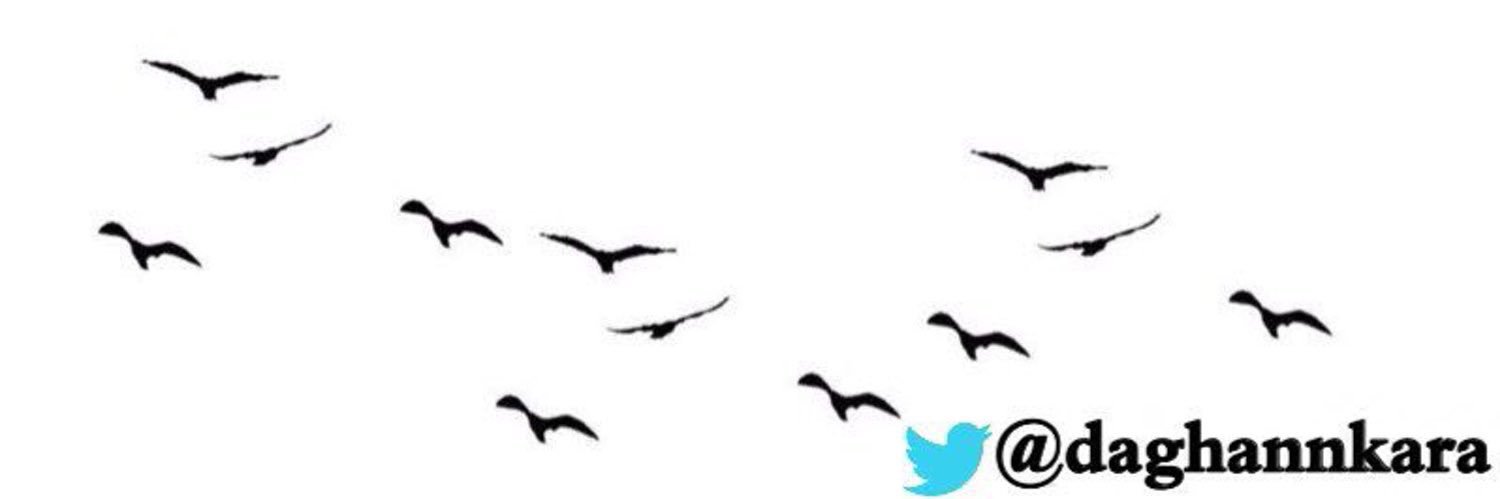 α η® c α's banner
