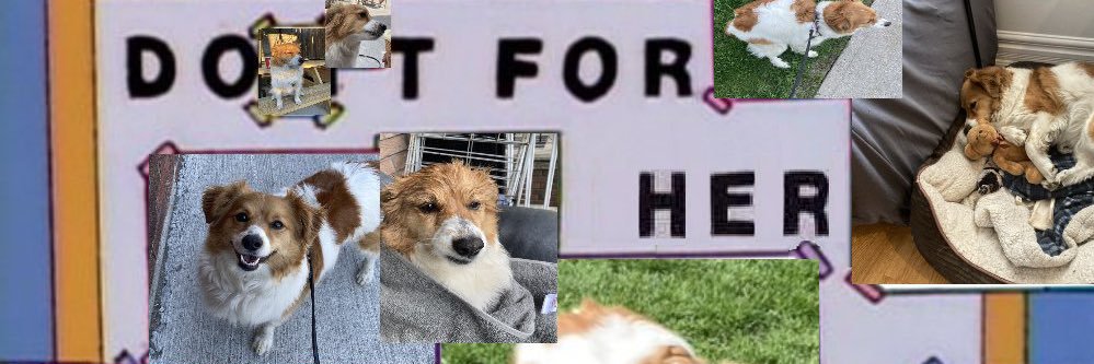 🌻Hermit El'Johnson🌻's banner
